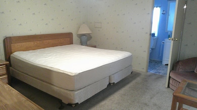 33150 Beach View Dr unit 207, Leesburg, FL 34788 - photo 4