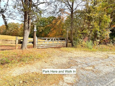 00 White Cut Rd, Walhalla, SC 29691 - photo 4