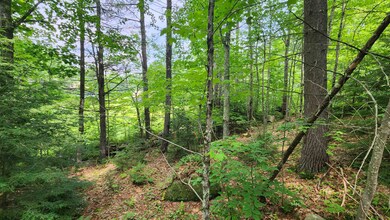 TBD Valley Rd, New Durham, NH 03855 - photo 7