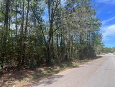 TBD Woodlane A Block 2 Lot 10, Splendora, TX 77372 - photo 2