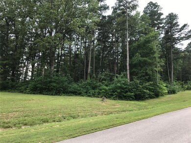 0 Benelli Ln, Epps Township, MO 63901 - photo 2