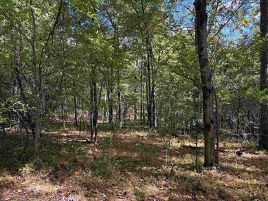 0 Bethuel Rd unit 15, Unincorporated, TN 38053 - photo 5