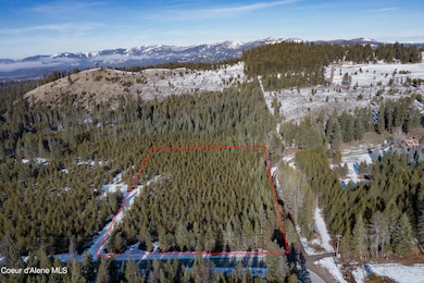 NWLL Hoodoo_Lot 4-20 lines