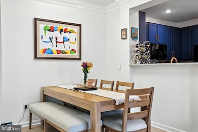 4850 Eisenhower Ave unit 302, Alexandria, VA 22304 - photo 3