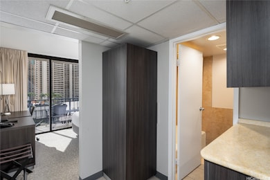 looking from hall to lanai