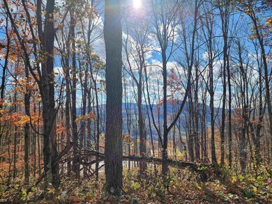 20 E Meadows Rd, Harman, WV 26270 - photo 7