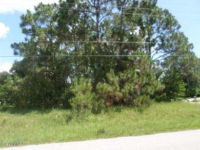 Lot View