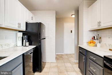 Barcroft Hills Condominium unit 910, Baileys Crossroads, VA 22041 - photo 5