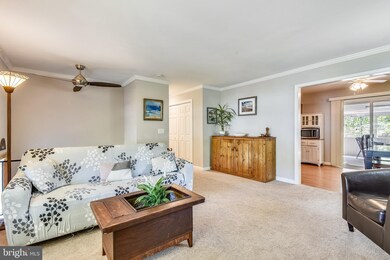 1176 Summit Dr, Annapolis, MD 21409 - photo 5