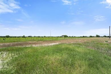 1304 Saddleback Dr, Bellville, TX 77418 - photo 2