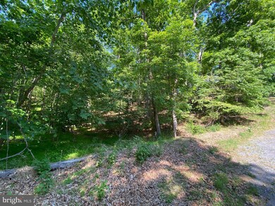 1114 Lakeview Dr, Cross Junction, VA 22625 - photo 5