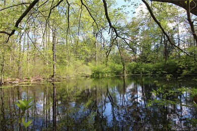Pond