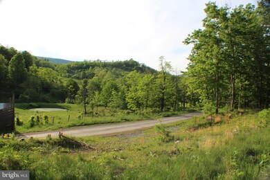 38.71ac Lower Timber Ridge Rd, Seneca Rocks, WV 26884 - photo 2