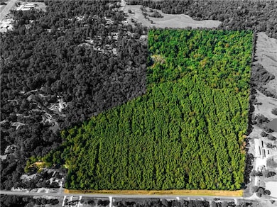 04 E Yeager Dr, Ball, LA 71405 - photo 4