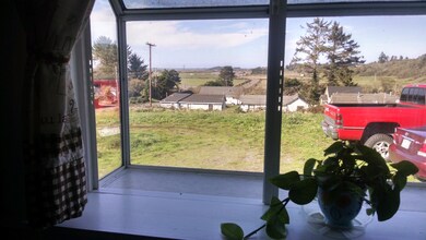 View from Kitchen Window