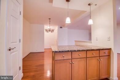 4081 S Four Mile Run Dr unit 302, Arlington, VA 22204 - photo 7