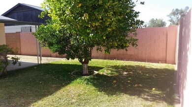 North side Back yard