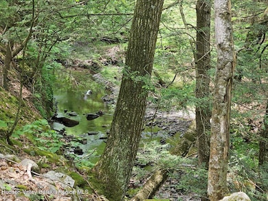 06-Creek
