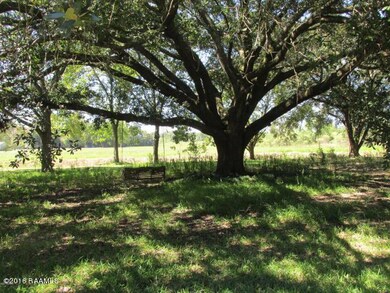 rear yard fieldspan