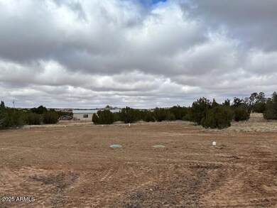 3933 septic field