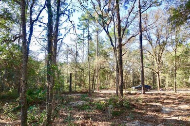 1.25 ACRE HOMESITE