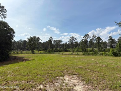 355 Fox Box Rd, Vass, NC 28394 - photo 6