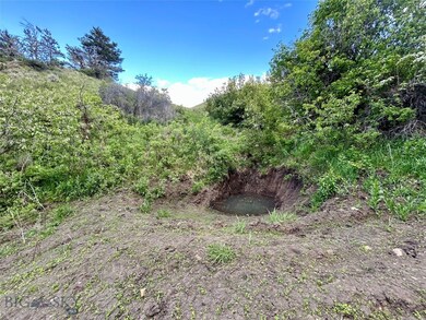 Spring Fed Water Hole