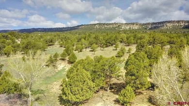 Lot 1 Last Stand Rd, Ridgway, CO 81432 - photo 3