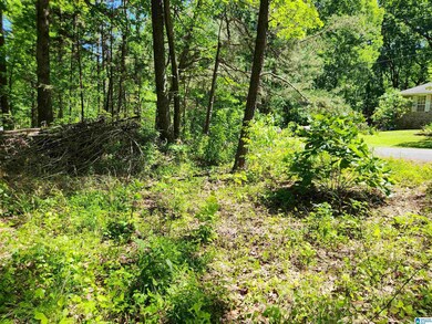 8720 Woodview Ln unit LOT  6-39, Pinson, AL 35126 - photo 5