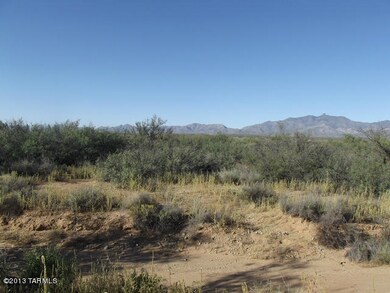 ON THE WILLCOX BENCH