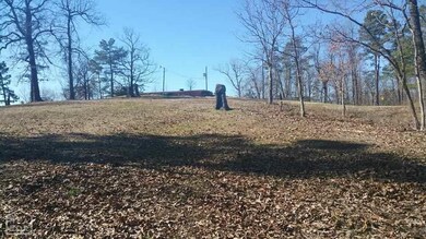 1568 Greene 626 Rd, Paragould, AR 72450 - photo 3