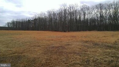 0 Hicks Ln unit 1002829752, Mine Run, VA 22508 - photo 6