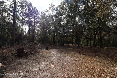 19050 SW 49th Place, Dunnellon, FL 34432 - photo 4