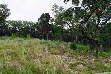 20322 Bobwhite Run, San Antonio, TX 78256 - photo 6