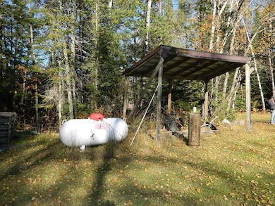 9372 County Road 32 W, Loman, MN 56654 - photo 5