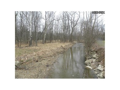 Cross over the peaceful creek awaiting Spring.