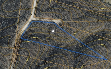 0 Snowgoose Ct unit RTC3042009, Hurricane Mills, TN 37078 - photo 7