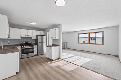 9955 Cord St NE, Circle Pines, MN 55014 - photo 6