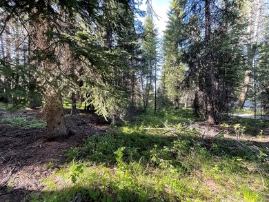 Level For Easy Camping or Building