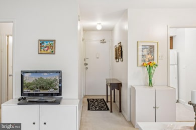 Prospect House unit 565, Arlington, VA 22209 - photo 7