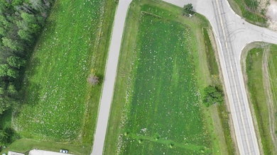 0 River Bend Ln unit 50307559, Cecil, WI 54111 - photo 5