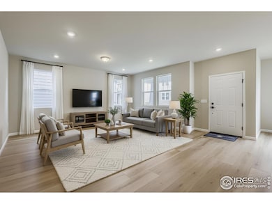 744 Wood Sorrel Ln, Fort Collins, CO 80524 - photo 3