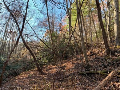 TBD (Lot 1) Dugger Firetower Rd, Lenoir, NC 22864 - photo 7