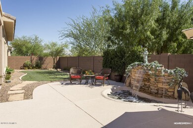 Back yard 5
