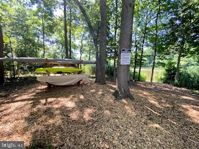 1125 Lake Heron Dr unit 3B, Annapolis, MD 21403 - photo 3