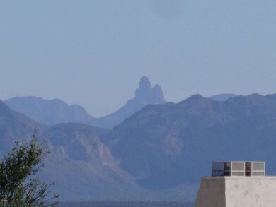 Weavers needle