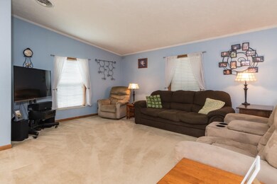 RN5_5741