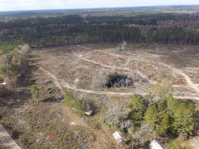 Tbd Allen Rd unit LotWP001, Meadville, MS 39653 - photo 4