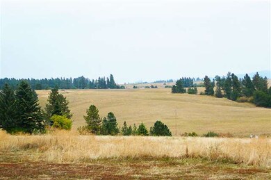 17717 N Austin Rd, Spokane, WA 99208 - photo 3