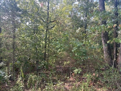 Lot 15 & 2A Highway 5, Norfork, AR 72658 - photo 5
